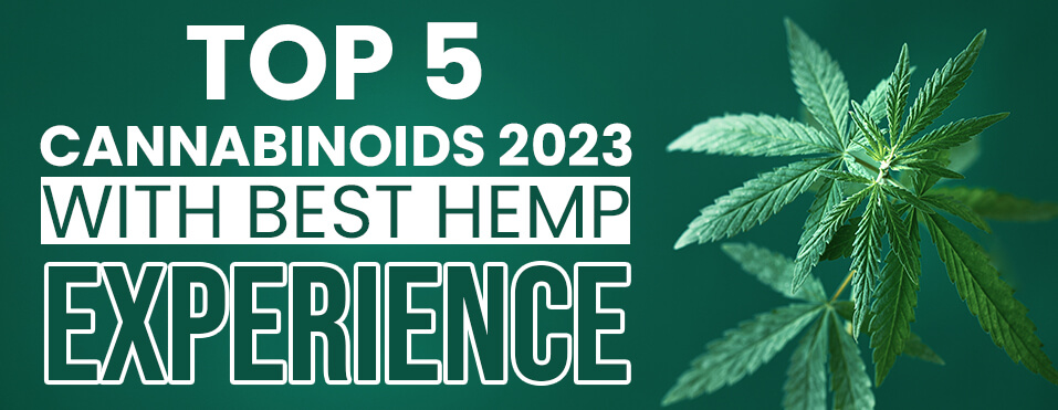 top 5 cannabinoids