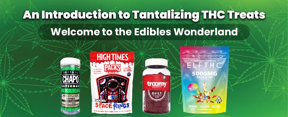 Introduction to Tantalizing THC Treats