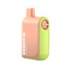 Binaries 6K 6000 Puff Disposable - Aperol Spritz Ice