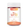 URB 1:1 THC CBD Vegan Gummies - 750MG (25 Count) - Tropical Lush