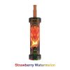 MFU SHISHA X1 Hookah 40,000 Puff Disposable - Strawberry Watermelon