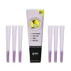 Blazy Susan Purple Cones 1PK - 1-1/4