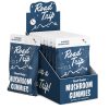 Road Trip Desert Stardust Mushroom Gummies 2PK - 30CT - Rocket Pop