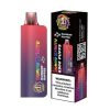 Dummy Xfinity 6900 Puff Disposable - Rainbow Rapper