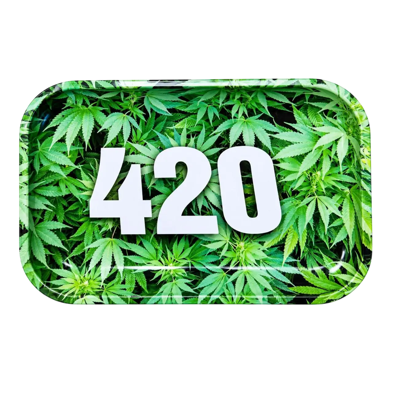 Medium Design Trays -420 Medium Design Trays -420