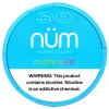 NUM Nicotine Pouches - 5PK - Miami Mint - 24MG