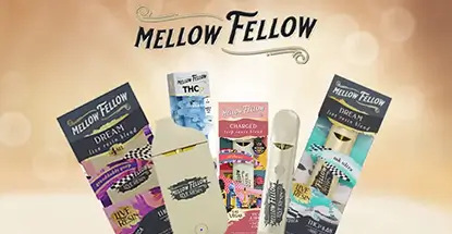 Mellow-Fellow