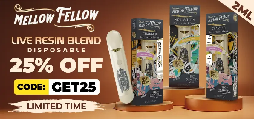 Mellow Fellow Live Resin Blend Disposable 2ML (1)
