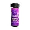 Hidden Hills THC CBG Hash Holes 2.5G- 10CT - Granddaddy Purp/Indica